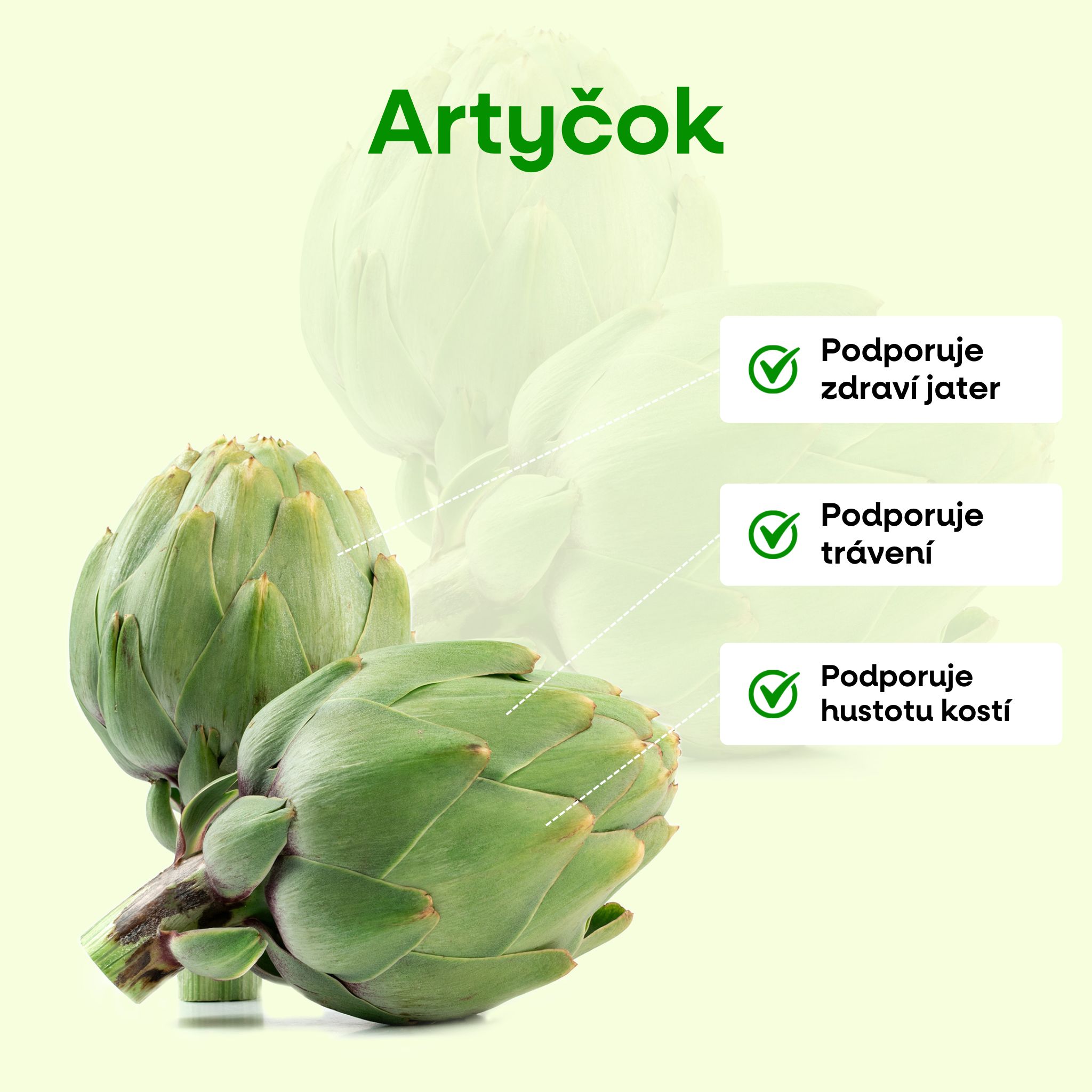 Artycok infografika CZ